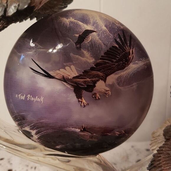 Vtg 2004 Bradford Exchange "Swift Encounter" from Majestic Flights Collection - Picture 5 of 9